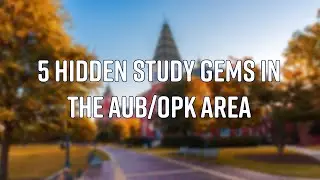 5 Hidden Study Gems in the Auburn/Opelika Area