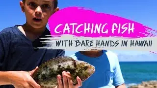 CATCHING FISH in Hawaii - The king tide makes it easy!