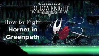 Hollow Knight / How to Beat Hornet in Greenpath
