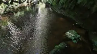 Grand Canyon Walking Track