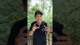 FB Pro Yellow Shield Violation