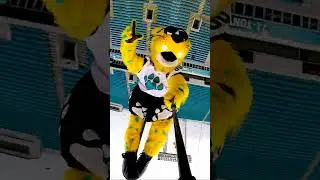 Mascot zip-lining! #shorts