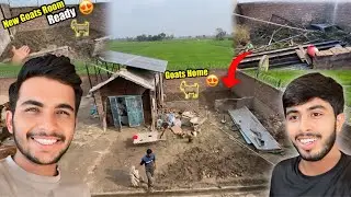 New Goat’s 🐐Room Ready / For New Goat Framing 😍 | Zohaib Pendu | Saqlain Pendu 
