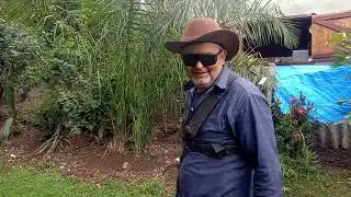 Dia de cortar a grama na Roça   Roçadeira