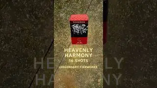 HEAVENLY HARMONY 16 SHOTS by Leegendary Fireworks | Salubong 2026 | New Year&rsquo;s Eve 2026 Philippines