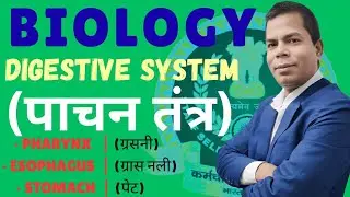 DIGESTIVE SYSTEM| BIOLOGY| PHARYNX, ESOPHAGUS, STOMACH| SSC |RAILWAY| BANK | UP POLICE| BIHAR POLICE