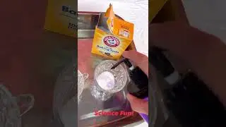 Science Fun Tea Cup Experiment #stem  #stemeducation  #stemlearning  #sciencefun #earlyeducation