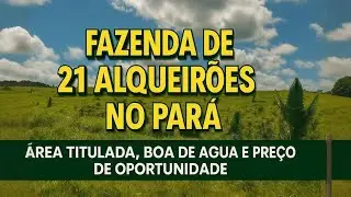 Fazenda dos Sonhos no Par&aacute; 21 Alqueir&otilde;es com &Aacute;gua Farta, Pasto Pronto. #FazendaNoPar&aacute; #Fazenda&Agrave;Venda