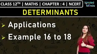 Class 12th Maths | Applications of Determinants & Matrices | Example 16 to 18 | Chapter 4 | NCERT