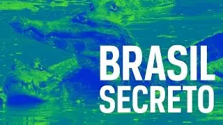 Brasil Secreto  Pantanal