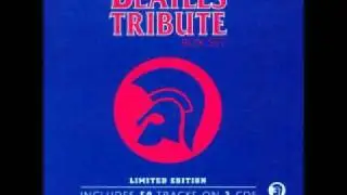 B.B.Seaton - Eleanor Rigby