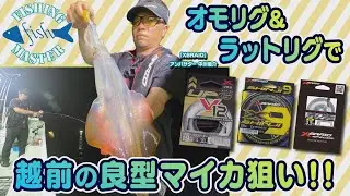【フィッシングマスター】オモリグ&ラットリグで越前の良型マイカ狙い‼︎