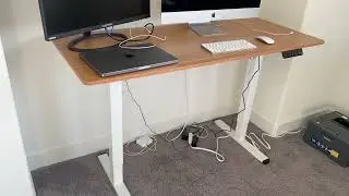 Shintenchi Electric Standing Desk, 55 x 24 Inch Height Adjustable Sit Stand Review
