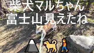 柴犬マルちゃん🗻🐕‍🦺🚶‍♂️　富士山が見えたよ🗻😃　Mount Fuji appears 🙏　小川の散歩道Stream Walk 🌊　#shibainu Maru-chan