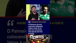 ⚽🔥Veiga n&atilde;o esta a venda afirma jornalista! #cortes #palmeiras #noticiasdofutebol #cortesesportivos