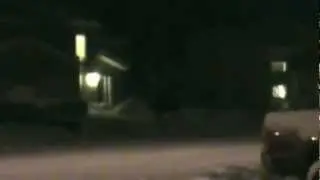 Moose In the Hood