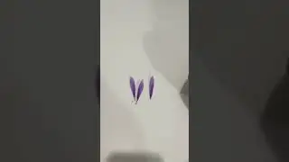 Growing saffron indoors in Canada