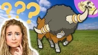 A Bouffalant Pokemon In Real Life? Pokemon Biology