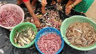 Marve Beach Malad Mumbai Fish Auction | Live Marve Fish Market