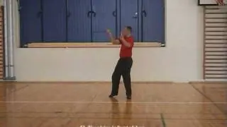 Tai Chi Swordform - Wudang style