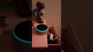 DONT ASK ALEXA THESE QUESTIONS (asking Alexa banned questions)