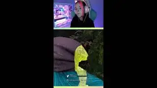 David I warned you! - DBD