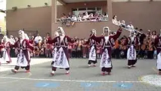 Pendik Bolu yeşil ördek oyunu