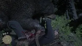 RDR2- Grizzly kills armed hunter, General Arthur kills it with just a knife