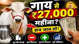 Dairy Farming Business in Mixed System 🐄 | सिर्फ 3 गायों से शुरुआत कैसे करें? Part-1