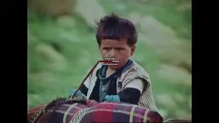 nomad tours 1