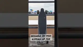 WowGo 2s max shredding the streets