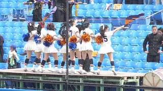 [4K高画質]2019六大学野球チア①｜法政大チア部｜早法戦　神宮に映えるオレンジの蛍光ユニフォーム！