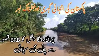 Changa Manga Jungle|Irrigation system of Changs Manga Forest#History#Britishempire #changamangajungl