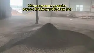 Chicken manure granular organic fertilizer production line#machine #granulator #fertilizer #farming