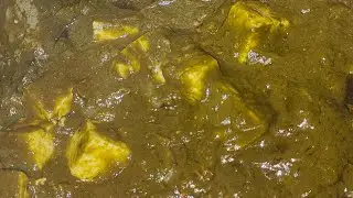 Palak Paneer Restaurant Style 🍲