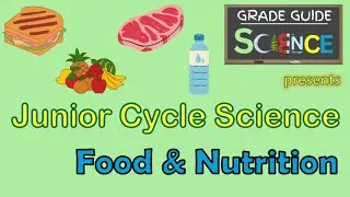 Food & Nutrition - Junior Cycle Science - Revision Video