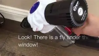Cleaning house with me |  Dyson cord-free | Neato robotic Vacuum