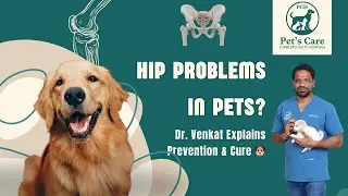Dr. Venkat on Hip Problems in Pets | Prevention Tips & Advanced Treatments | Pets Care Hospital