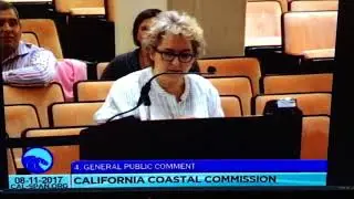 Sue Kaplan CCC 8/11/17