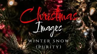 Christmas Images: Winter Snow (Purity) | 12-07-25 | 10:30am