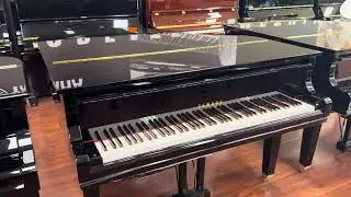 Beautiful Piano City in Rosehill Garden New Age Music at Parramatta City