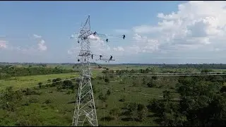 China-developed power project to secure reliable energy in the Amazon