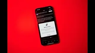 TikTok Ban: how content creators are getting ready