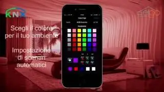 Z41PRO