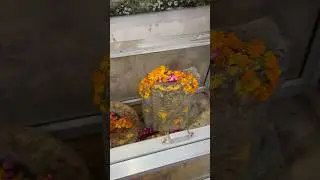 Ukhal Bandhan Leela of Shri Krishna at Gokul ✨ | Vrindavan & Mathura Vlog 3 | NiladriVJ