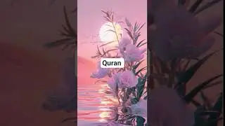 QURAN TRANSLATION IN URDU #quran #love #islam