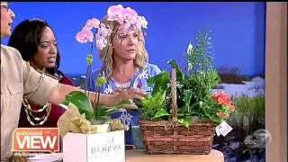 Beneva Flowers