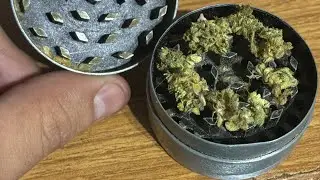 SEGUIMIENTO  de GORILLA COOKIES , desde inicio a fin 🍀✌🏼 