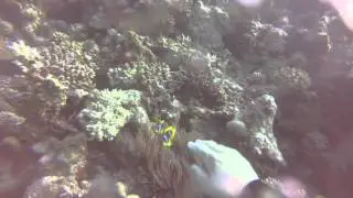 GOPR0132