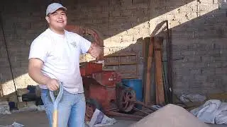 Preparaci&oacute;n de alimento para cerdos en etapa de engorda